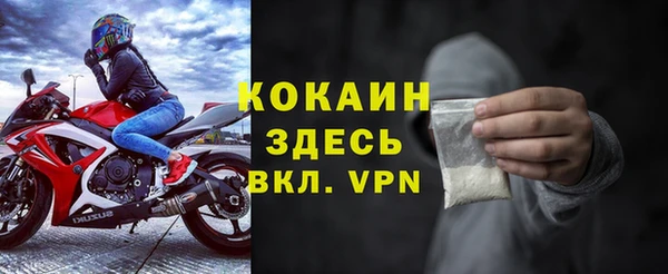 винт Лагань