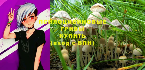 винт Лагань