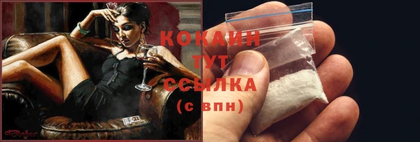 винт Лагань