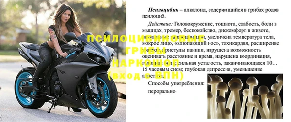 ALPHA PVP Лабытнанги