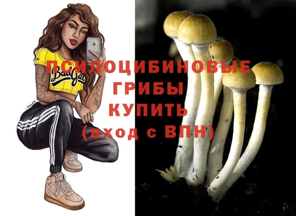 винт Лагань