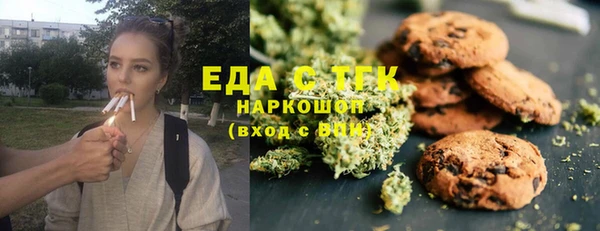 винт Лагань