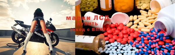 гидропоника Ладушкин